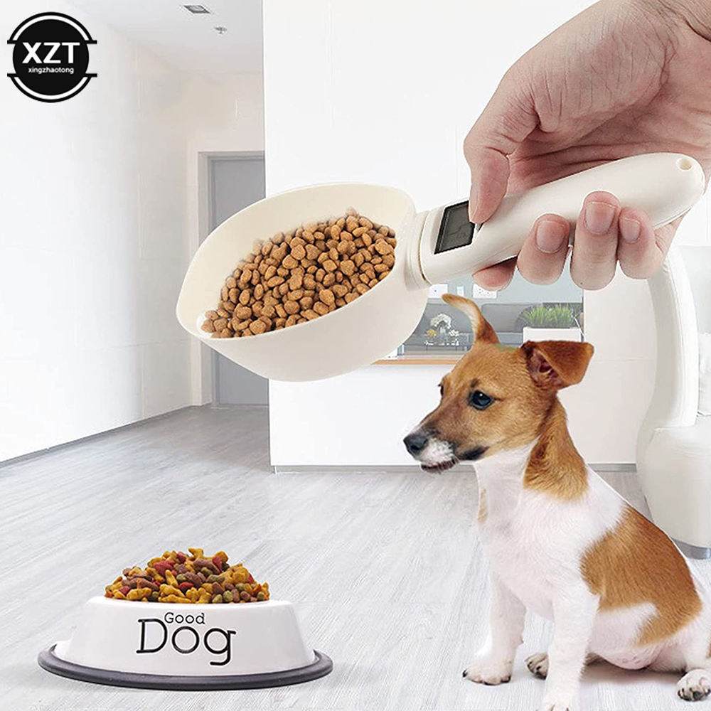 Large Size Scale Weighing Spoo - Kitchen Gadgets Under 500 ulasan dan harga